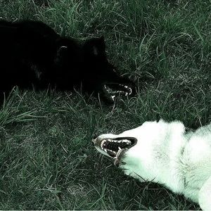 Meet your Posher, Edgar